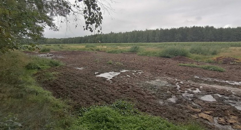 Zdjęcie przedstawia rozlane nieczystości. fot. Czytelniczka