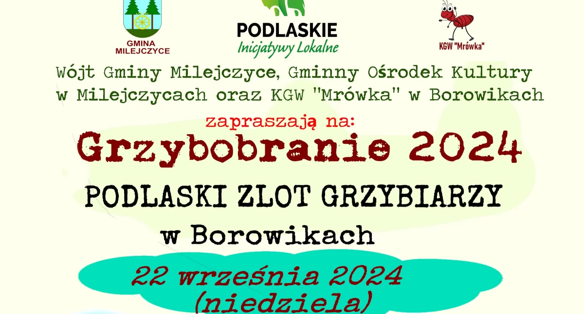 Turystyka, Podlaski Grzybiarzy Grzybobranie Borowikach - zdjęcie, fotografia