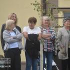 zdjęcie nr 33