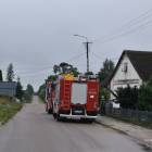 Fotka nr 1 z 5