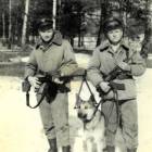Fotka nr 1 z 18