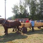 zdjęcie nr 23