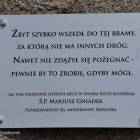 zdjęcie nr 7