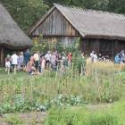 Zdjęcie nr 4
