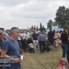 zdjęcie nr 49