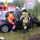 zdjęcie nr 8
