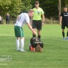 zdjęcie nr 17