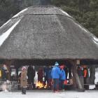 zdjęcie nr 7