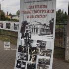 zdjęcie nr 7