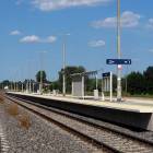zdjęcie nr 8