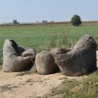 zdjęcie nr 37