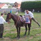 zdjęcie nr 8
