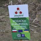 Fotka nr 3 z 9