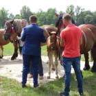 zdjęcie nr 13