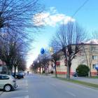 Fotka nr 5 z 7
