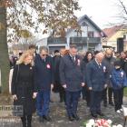 zdjęcie nr 80