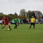 Fotka nr 4 z 14