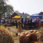 zdjęcie nr 10