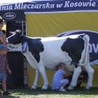 zdjęcie nr 10
