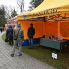 zdjęcie nr 40