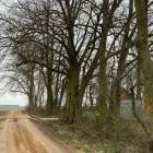 zdjęcie nr 7