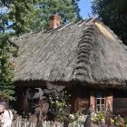 zdjęcie nr 9