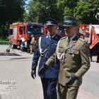 zdjęcie nr 91