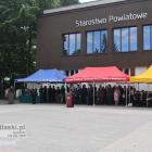 zdjęcie nr 72