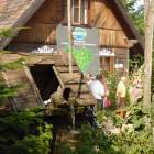 zdjęcie nr 7