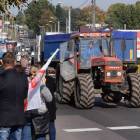 zdjęcie nr 35