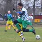 Fotka nr 4 z 8