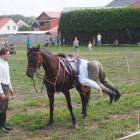 zdjęcie nr 11