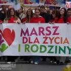 zdjęcie nr 5