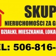 zdjęcie nr 