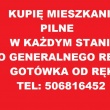 zdjęcie nr 