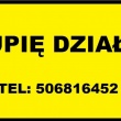 zdjęcie nr 