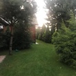 zdjęcie nr 