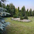 zdjęcie nr 