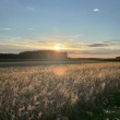 zdjęcie nr 