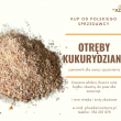zdjęcie nr 