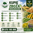 zdjęcie nr 