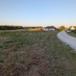 zdjęcie nr 