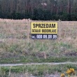 zdjęcie nr 