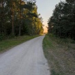 zdjęcie nr 