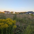 zdjęcie nr 