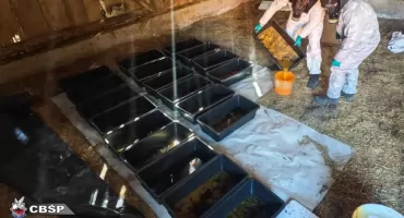 CBŚP zlikwidowało duże laboratorium produkcji narkotyków w gminie Drohiczyn 