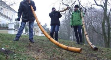 Ciechanowiec - Adwentowe ligawki